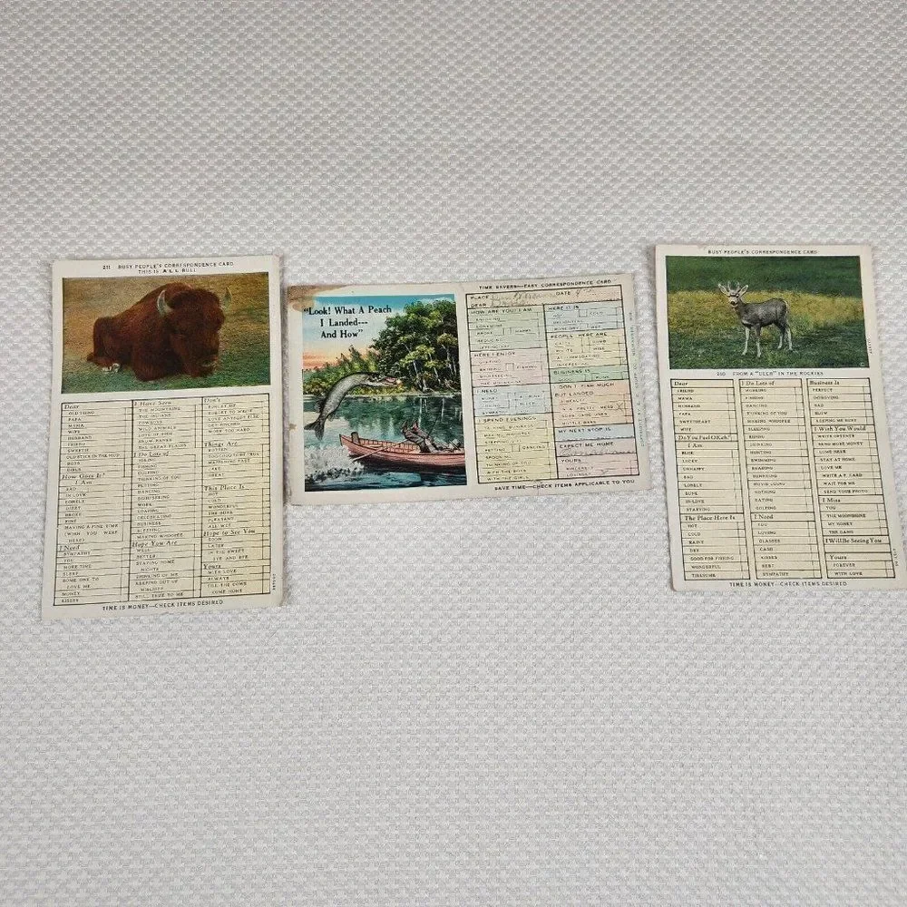 Vintage Postcard Busy People's Correspondence Card Lot Bull Deer Fish Humor Fun